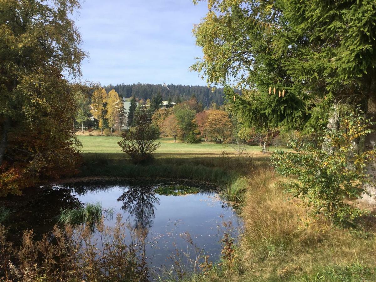 Gemuetliche 1Z Fewo In Schoenwald Mit Balkon, Schwimmbad, Sauna, Fitness Schönwald Exterior foto